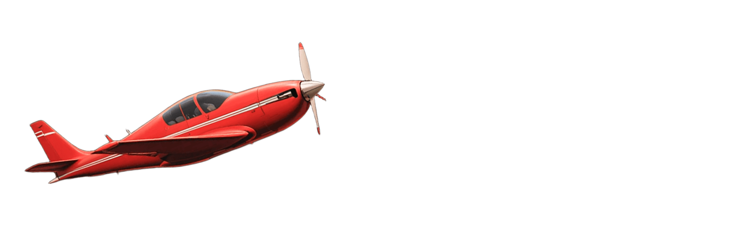 AVIATOR EXPRESS LTD